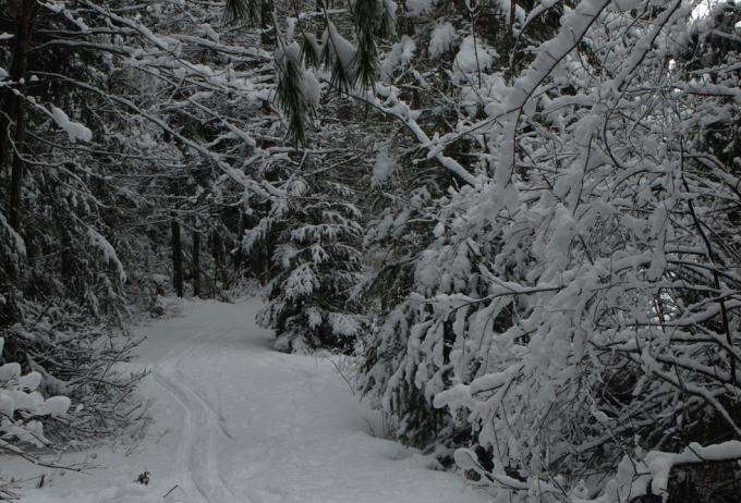 A wonderful trail for backcountry skiing or snowshoeing.