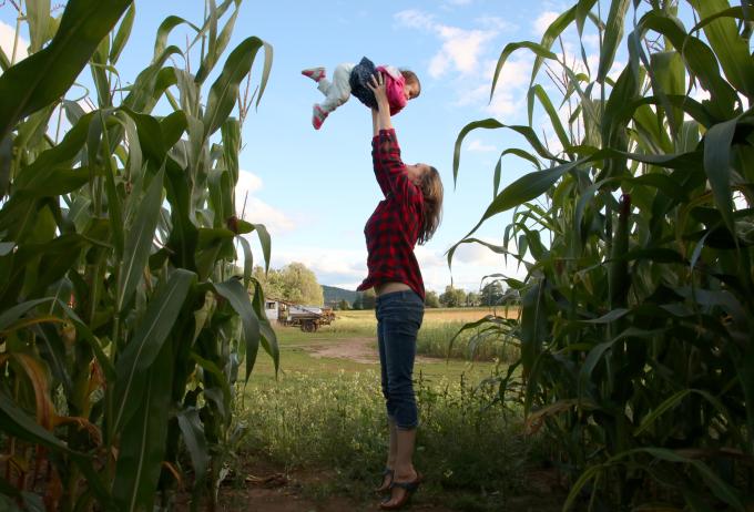 The Great Adirondack Corn Maze