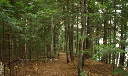 These paths can be hiked or used for trail running.
