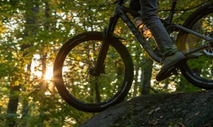 The silhouette of a mountain bike in front of a forest