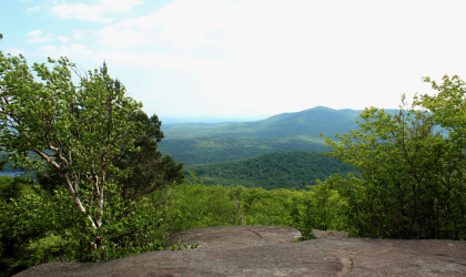 Jenkins has a nice view from a rocky summit.