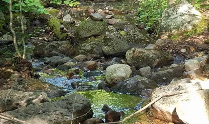 A rocky stream