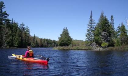 A kayaker nears the shore