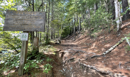 A wooden sign for The Pines trail