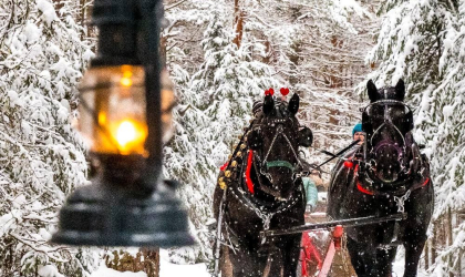 A sleigh with two horses pulling through a snowy forest with lantern light to guide the way.
