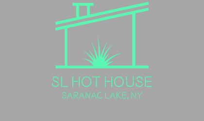 A gray image with a green lean to style structure with chimney and a grassy textured plant.