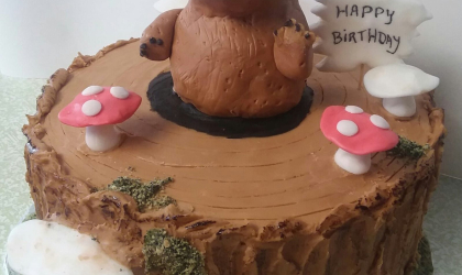 A birthday cake decorated like a log with a flag